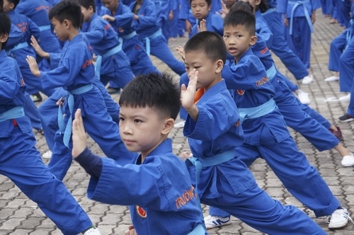 Vovinam là gì? Những điều cần biết về môn võ truyền thống việt nam