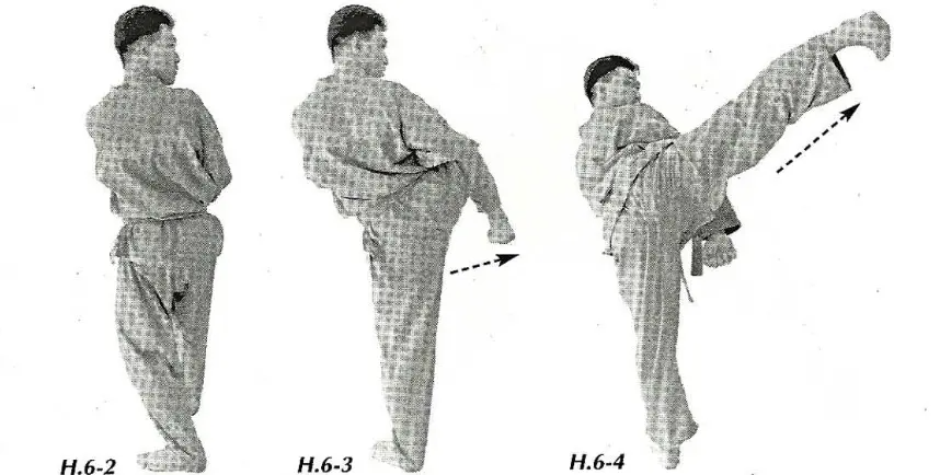 Kỹ thuật căn bản Vovinam – Việt Võ Đạo